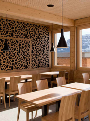 Best Quality Plywood In India